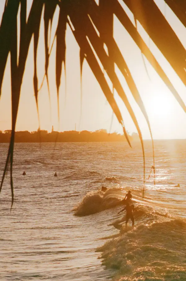 Surfers riding a wave at golden-hour sunset