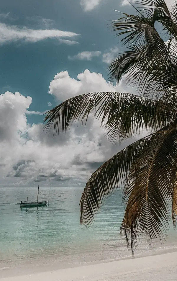 A small boat resting in turquoise water beneath a palm frond